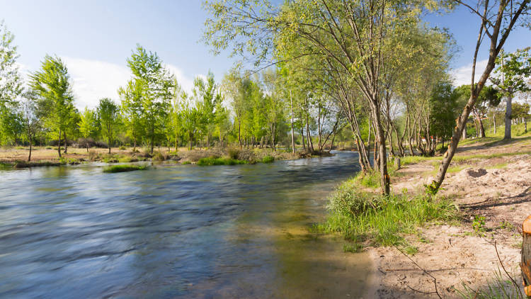 Playa del Alberche